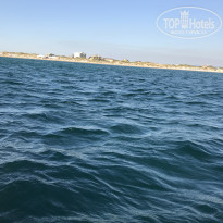 фото из отзыва ID 2051604