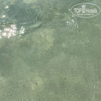 фото из отзыва ID 2053973