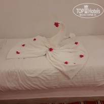 фото из отзыва ID 2053990