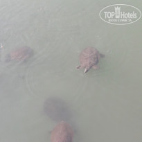 фото из отзыва ID 2053982