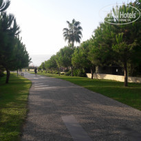 фото из отзыва ID 2053982