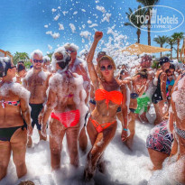 фото из отзыва ID 2054019