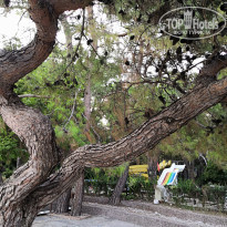 фото из отзыва ID 2053793