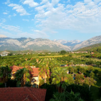 фото из отзыва ID 2054050