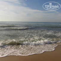 фото из отзыва ID 2054116