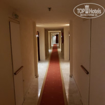 фото из отзыва ID 2054100