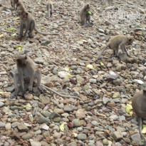 фото из отзыва ID 2054214