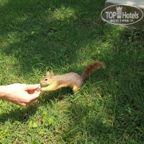 фото из отзыва ID 2054244