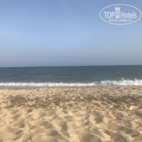 фото из отзыва ID 2054247