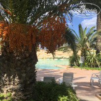 фото из отзыва ID 2054341