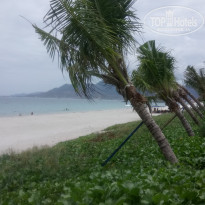 фото из отзыва ID 2054310