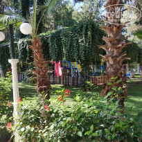 фото из отзыва ID 2054337