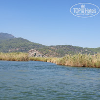 фото из отзыва ID 2054348