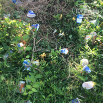 фото из отзыва ID 2054450