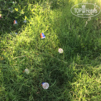 фото из отзыва ID 2054450