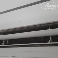 фото из отзыва ID 2054537