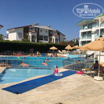 фото из отзыва ID 2054547