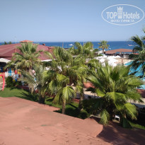 фото из отзыва ID 2054530