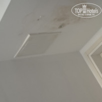 фото из отзыва ID 2054685