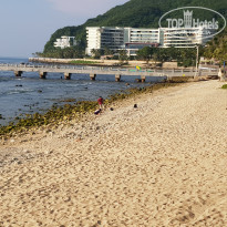 фото из отзыва ID 2054700