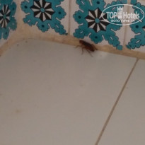 фото из отзыва ID 2054689