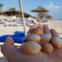 фото из отзыва ID 2054728