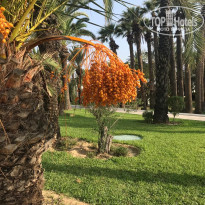 фото из отзыва ID 2054807