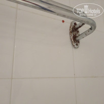 фото из отзыва ID 2054910