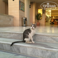 фото из отзыва ID 2054952