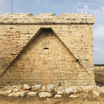 фото из отзыва ID 2054981