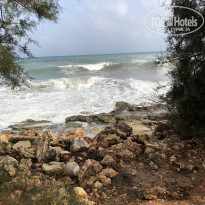 фото из отзыва ID 2054981