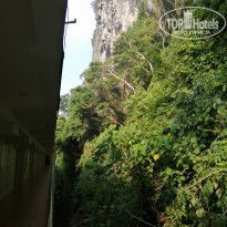 фото из отзыва ID 2054987