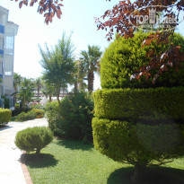 фото из отзыва ID 2055024