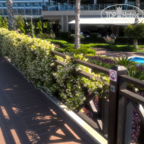 фото из отзыва ID 2055061