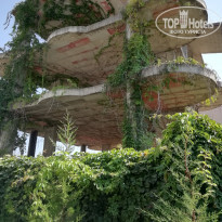 фото из отзыва ID 2053180