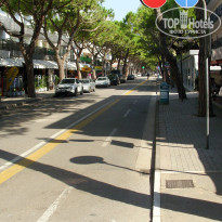 фото из отзыва ID 2055113