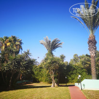 фото из отзыва ID 2055117