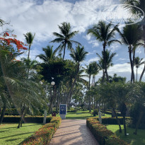 фото из отзыва ID 2055142