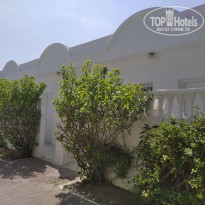 фото из отзыва ID 2055130