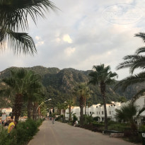 фото из отзыва ID 2055210