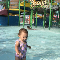 фото из отзыва ID 2055298