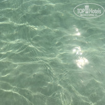 фото из отзыва ID 2055268