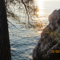 фото из отзыва ID 2055240