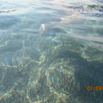 фото из отзыва ID 2055240