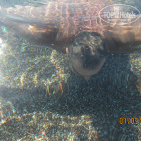 фото из отзыва ID 2055240