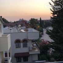 фото из отзыва ID 2055373