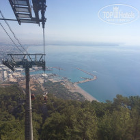 фото из отзыва ID 2055336