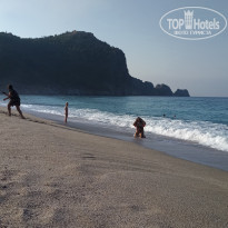 фото из отзыва ID 2055491