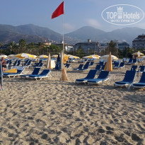 фото из отзыва ID 2055491