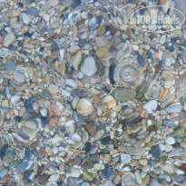 фото из отзыва ID 2055491